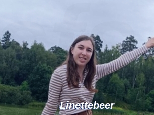 Linettebeer