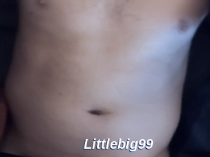 Littlebig99