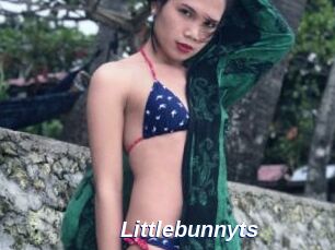 Littlebunnyts