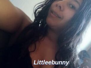 Littleebunny