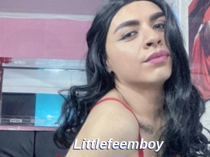 Littlefeemboy