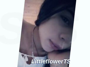 LittleflowerTS