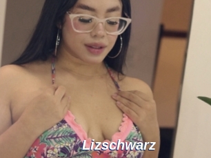 Lizschwarz