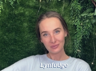 Lynfudge