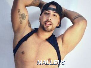 MALLEUS