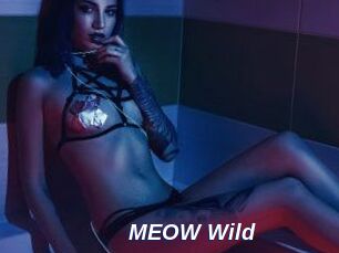 MEOW_Wild