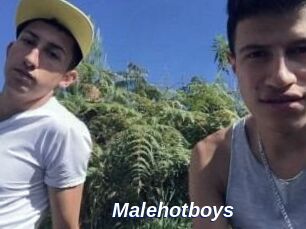 Malehotboys