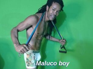 Maluco_boy