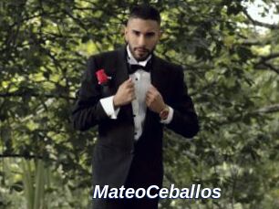 MateoCeballos