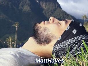 MattHayes