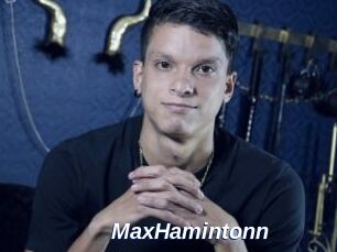 MaxHamintonn