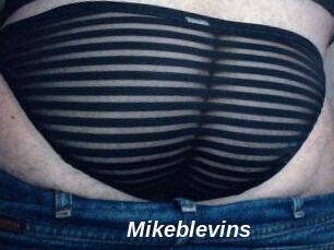 Mikeblevins