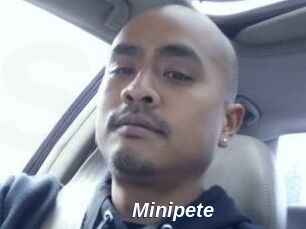 Minipete