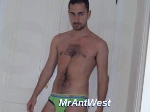 MrAntWest