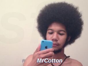 MrCotton