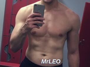 MrLEO