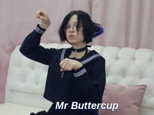 Mr_Buttercup