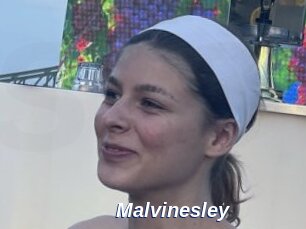 Malvinesley