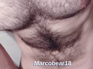 Marcobear18