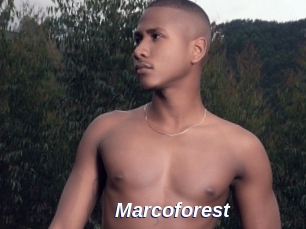 Marcoforest