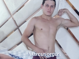 Marcusorgus