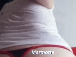 Marmotte