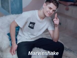 Marvinshake