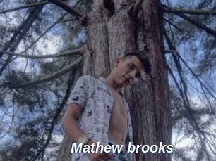 Mathew_brooks