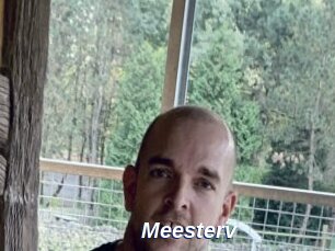 Meesterv