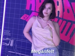 Meganfelt