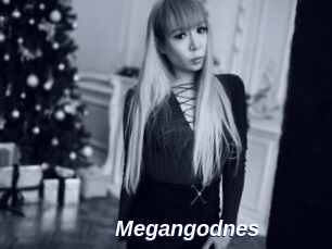 Megangodnes