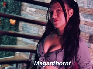 Meganthornt