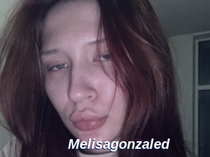 Melisagonzaled