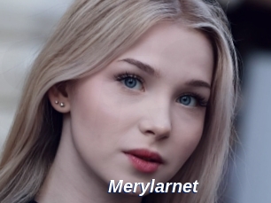 Merylarnet