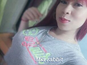 Mia_rabbit