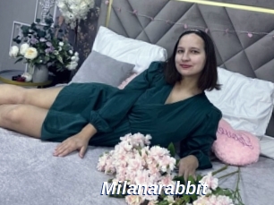 Milanarabbit