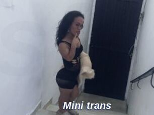 Mini_trans