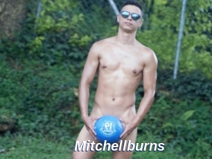 Mitchellburns