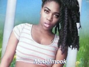 Modelmook