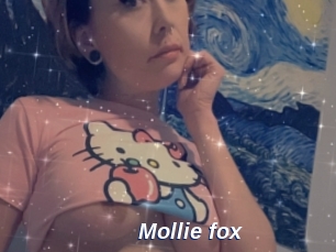 Mollie_fox