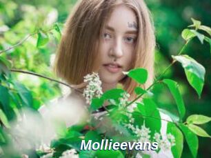 Mollieevans