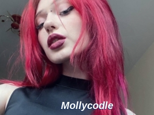 Mollycodle