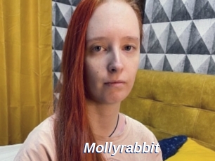 Mollyrabbit