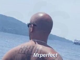 Mrperfect