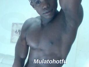 Mulatohotfu