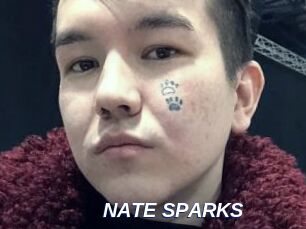 NATE_SPARKS