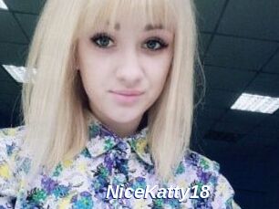 NiceKatty18