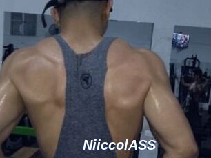 NiiccolASS