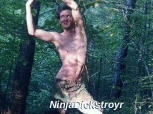 NinjaDickstroyr