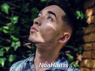 NoaHarris